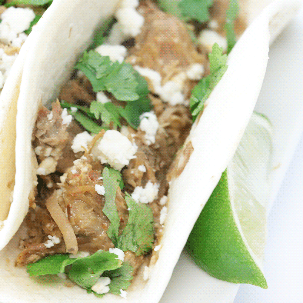 Caroline's Carnitas Tacos